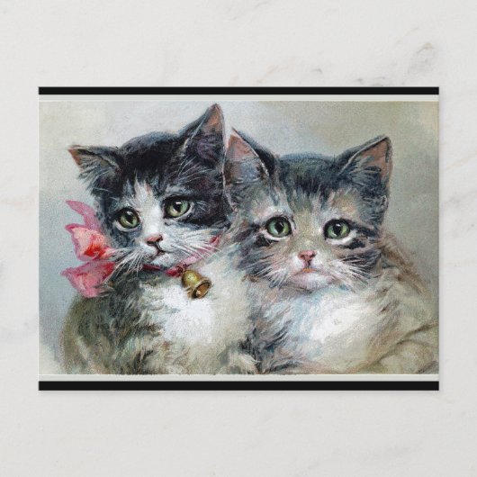 Carte Postale Amis, deux chatons mignons, (Devant)