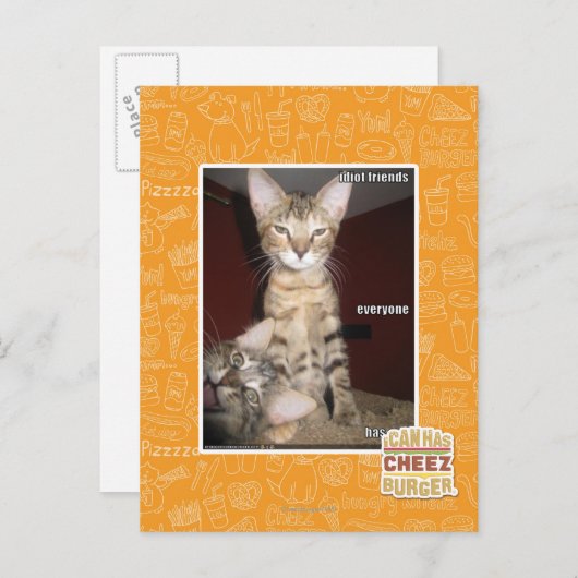 Carte Postale Amis d'idiot (Devant / Derrière)