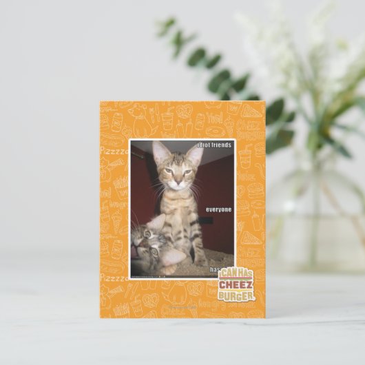 Carte Postale Amis d'idiot (Debout devant)