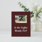 Carte postale Amis du café gris et caïque d'Afriqu (Debout devant)