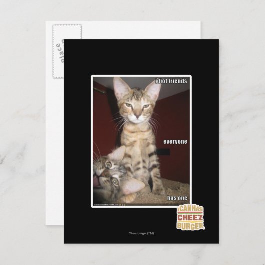 Carte Postale Amis Idiot (Devant / Derrière)