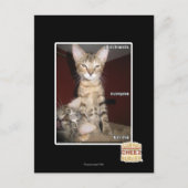 Carte Postale Amis Idiot (Devant)