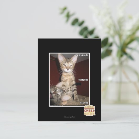 Carte Postale Amis Idiot (Debout devant)