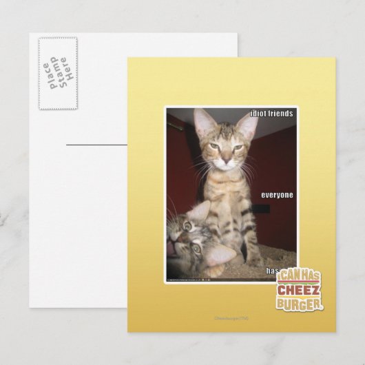 Carte Postale Amis Idiot (Devant / Derrière)
