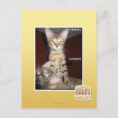 Carte Postale Amis Idiot (Devant)