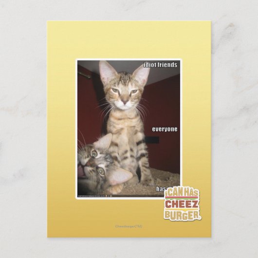 Carte Postale Amis Idiot (Devant)