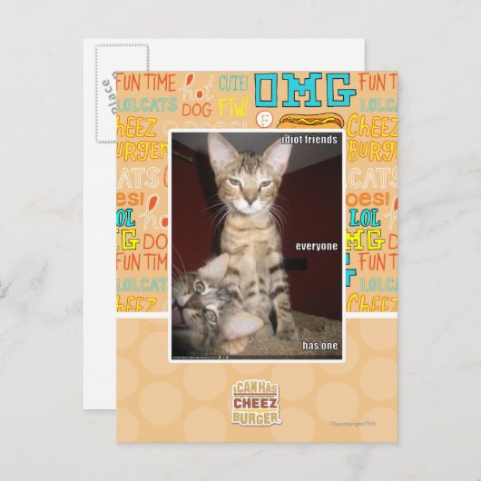 Carte Postale Amis Idiot (Devant / Derrière)