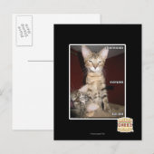 Carte Postale Amis Idiot (Devant / Derrière)