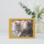 Carte Postale Amis joyeux (Debout devant)