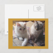 Carte Postale Amis joyeux (Devant / Derrière)