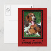 Carte Postale Amis pour toujours (Devant / Derrière)