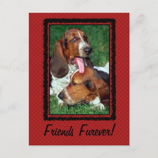 Carte Postale Amis pour toujours (Devant)