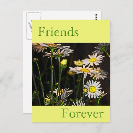 Carte Postale Amis pour toujours (Devant / Derrière)