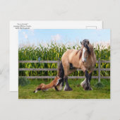 Carte postale "Amis secrets" (Devant / Derrière)