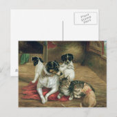 Carte Postale Amis stables (Devant / Derrière)