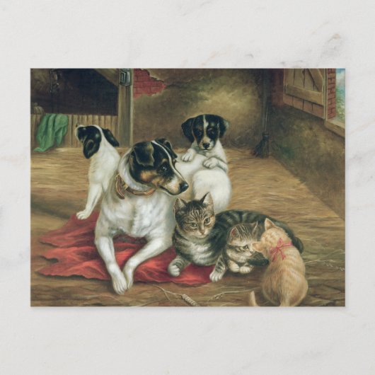 Carte Postale Amis stables (Devant)