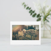 Carte Postale Amis sur les routes rurales (Debout devant)