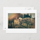 Carte Postale Amis sur les routes rurales (Devant / Derrière)