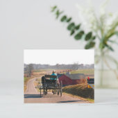 Carte Postale Amish Boy Drives Open Buggy (Debout devant)