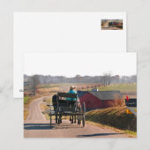 Carte Postale Amish Boy Drives Open Buggy (Devant / Derrière)