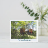 Carte Postale Amish Buggies (Debout devant)