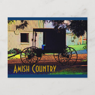 Carte postale Amish Buggy