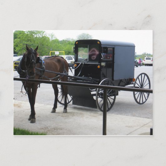 Carte Postale Amish Buggy (Devant)