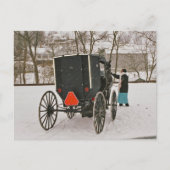 Carte postale Amish Buggy (Devant)