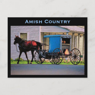 Carte postale Amish Buggy