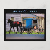 Carte postale Amish Buggy (Devant)