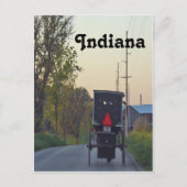 Carte Postale Amish Buggy (Devant)