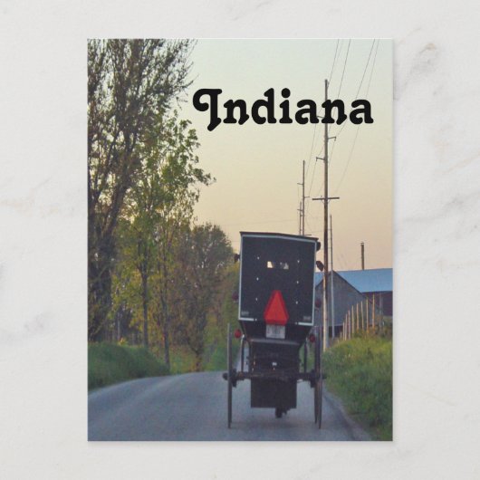 Carte Postale Amish Buggy (Devant)