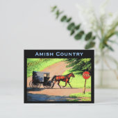 Carte postale Amish Buggy (Debout devant)