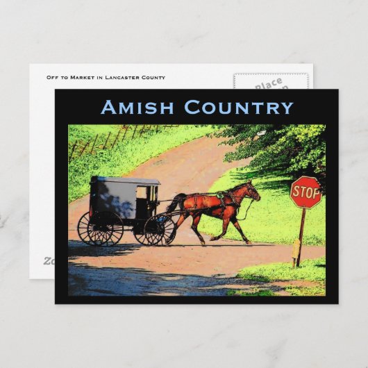 Carte postale Amish Buggy (Devant / Derrière)