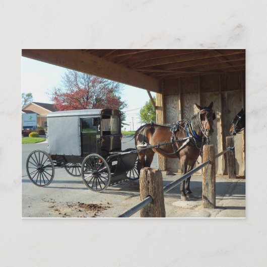 Carte Postale Amish Buggy, 1 (Devant)
