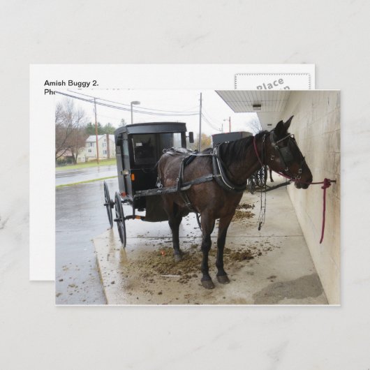 Carte Postale Amish Buggy 2 (Devant / Derrière)