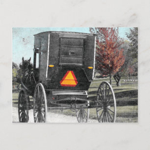 Carte Postale Amish Buggy d'automne