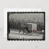 Carte Postale Amish Buggy Monochrome (Devant / Derrière)