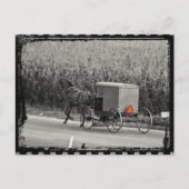 Carte Postale Amish Buggy Monochrome (Devant)