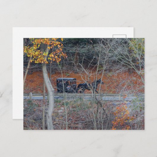 Carte Postale Amish Buggy sur une route rurale en automne, Ohio (Devant / Derrière)