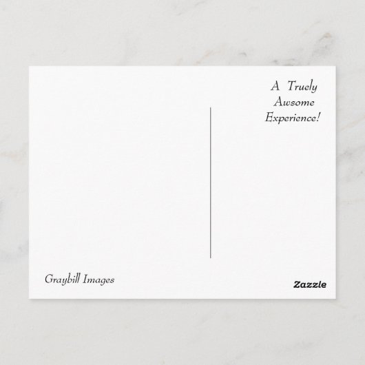 Carte postale "AMISH" Connection (Dos)