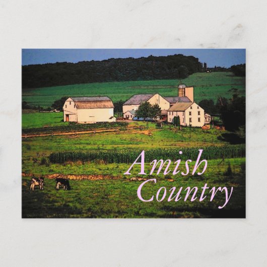 Carte postale Amish Country (Devant)