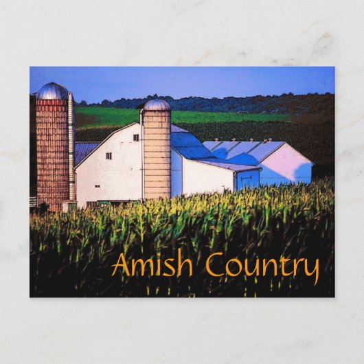 Carte postale Amish Country (Devant)