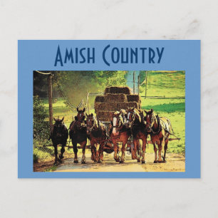 Carte postale Amish Country - Customisé