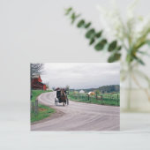 Carte Postale Amish Country Road (Debout devant)