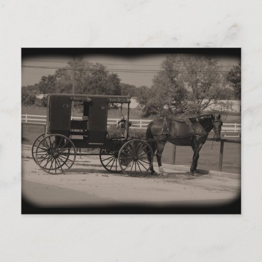 Carte Postale Amish Country Sugarcreek, Ohio (Devant)