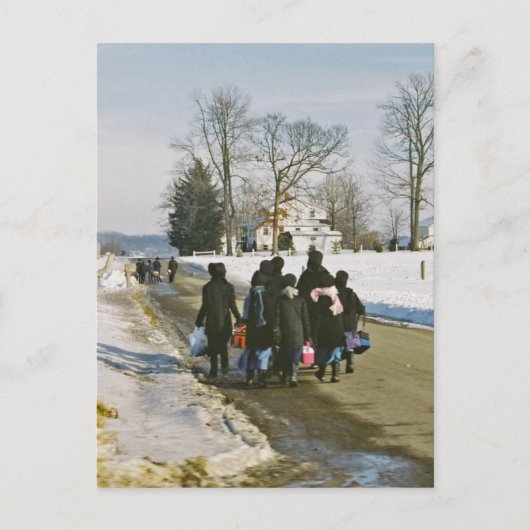 Carte postale amish de jour d'école (Devant)