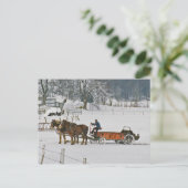 Carte postale Amish Draft Horses Giddie Up (Debout devant)