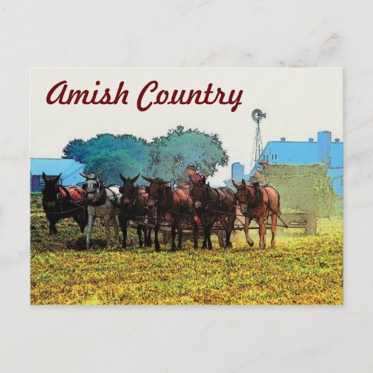 Carte postale Amish Farming (Devant)