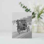 Carte postale Amish Horse et Buggy 3 (Debout devant)